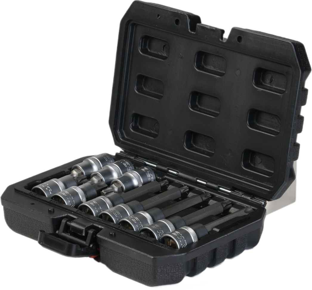 Набор бит-головок Torx 1/2" CROWN CPHSW-BTXA10, 10 шт.